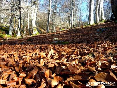 Parques Naturales Urbasa-Andía y Aralar - Nacedero del Urederra; grupos de montaña madrid